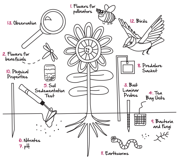 HDYGG-diagram-1