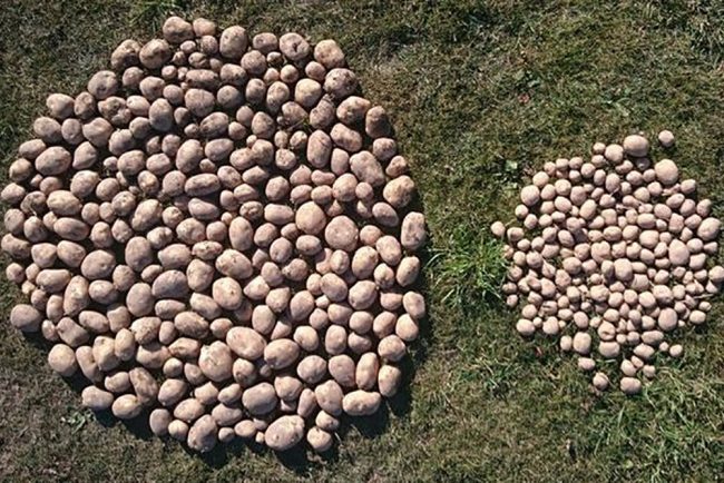 Mesh Crop Cover - Image 2