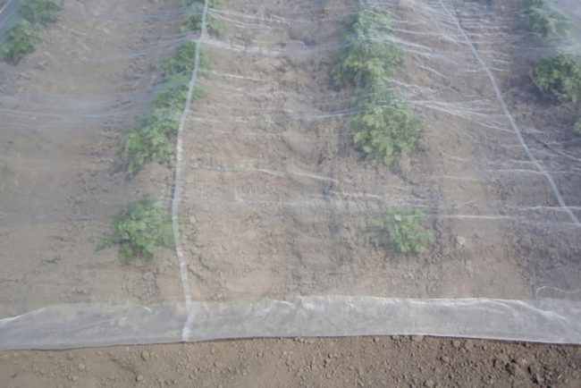 Mesh Crop Cover - Image 3