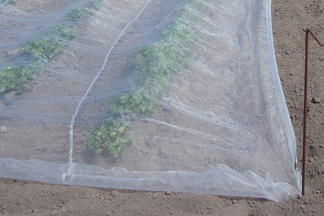 Mesh Crop Cover - Image 4