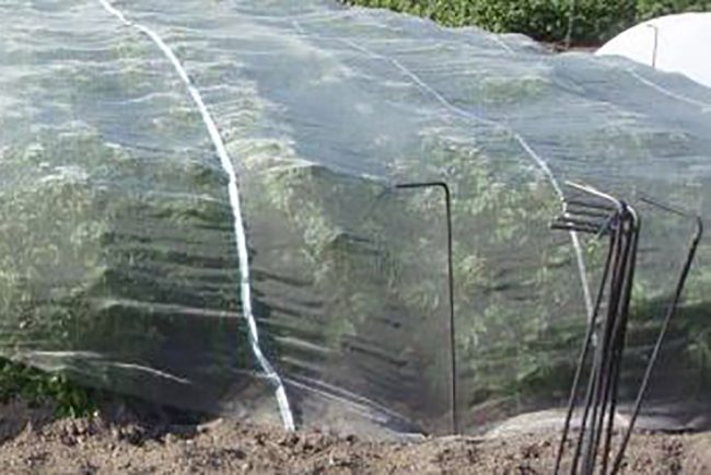 Mesh Crop Cover - Image 5