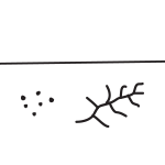 bacteria-fungi