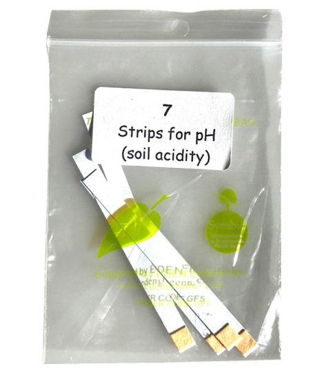 PH Strips