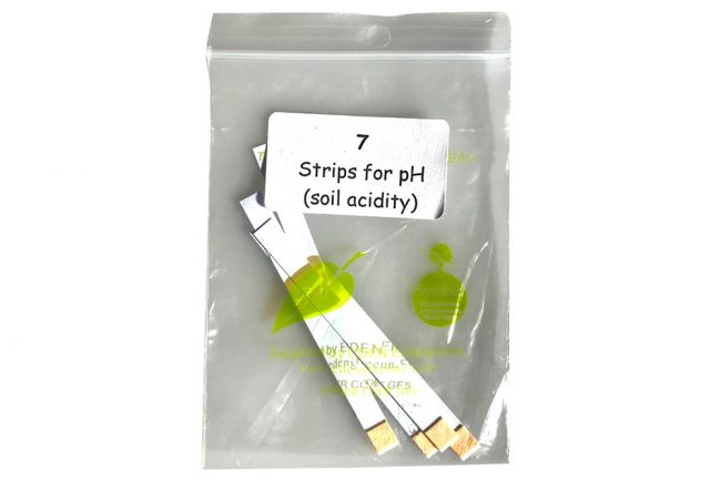 pH Strips