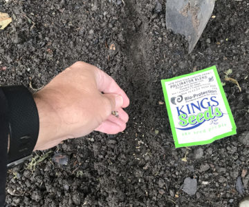 sowing seeds sowing seeds