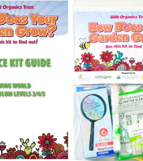 How Does Your Garden Grow -Science Guide for teachers