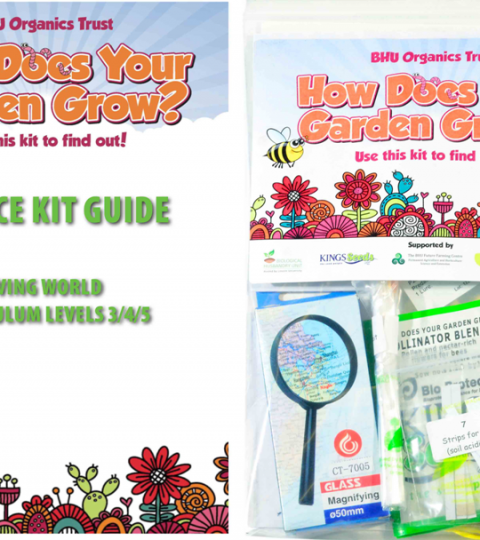 How Does Your Garden Grow -Science Guide For Teachers