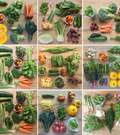 Whanau Veggie Box (30 Weeks)